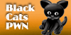 Black-Cats-PWN's avatar