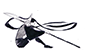 Black-Sun-and-Shadow's avatar