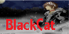 BlackCatFanClub's avatar