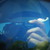 blackhat1234 :iconblackhat1234: