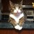 blacklus :iconblacklus: