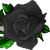 :iconblackrose-7x: