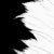BlackServalArt :iconblackservalart: