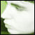 blackshift :iconblackshift: