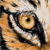 Blacksliverdragon :iconblacksliverdragon: