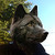 BlackWoodWolf :iconblackwoodwolf: