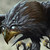 Blood-Hawk-531 :iconblood-hawk-531: