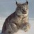 bloodlockwar :iconbloodlockwar: