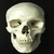 Bloodskull1 :iconbloodskull1: