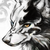 BloodyKillOokami :iconbloodykillookami:
