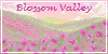 Blossom-Valley's avatar
