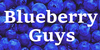 Blueberry-Guys's avatar