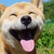 bluekipod :iconbluekipod: