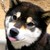 Blueowlart :iconblueowlart: