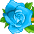 :iconbluerose1plz: