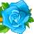 :iconbluerose6plz: