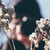 bnorthr :iconbnorthr: