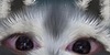 bobalinas's avatar