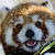 Boby-swan :iconboby-swan: