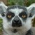 Boo-imalive :iconboo-imalive: