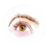 Bookovore :iconbookovore: