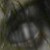 DeviantArt profile picture for @Bottomless on DeviantArt