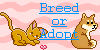Breed-or-adopt's avatar
