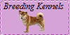 BreedingKennels's avatar