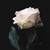 BrielleBae :iconbriellebae: