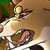 Brighty009 :iconbrighty009: