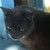 brokenfaerietale :iconbrokenfaerietale: