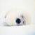 brookell-mckenzie :iconbrookell-mckenzie: