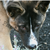 Bruniebug :iconbruniebug: