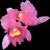 DeviantArt profile picture for @brutality on DeviantArt