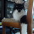 Bubbacat :iconbubbacat:
