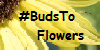 BudsToFlowers's avatar