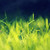 DeviantArt profile picture for @Bulbous on DeviantArt