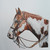 BunkhouseStudio :iconbunkhousestudio: