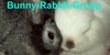 :iconbunny-rabbit-group: