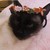 Bunny1375 :iconbunny1375: