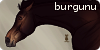 Burgunu's avatar