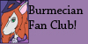 :iconburmecian-fan-club:
