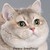 burstsupernova :iconburstsupernova: