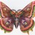 Butterflyiii :iconbutterflyiii: