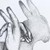 CadaverRabbit :iconcadaverrabbit: