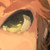 Caecilie14 :iconcaecilie14: