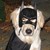 calicocats45 :iconcalicocats45: