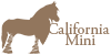 California-Mini's avatar