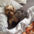 CalliaMcFarlane :iconcalliamcfarlane: