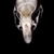 CalmGhosts :iconcalmghosts: